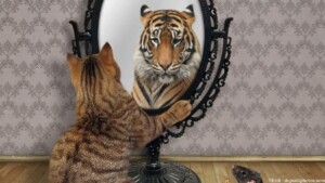Eine Katze schaut in den Spiegel und sieht einen Löwen. Von Vorbildern lernen.
