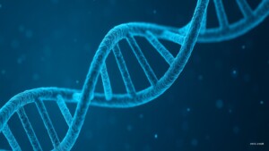 Epigenetik und Vitalitaet. So beeinflussen wir unsere DNA.
